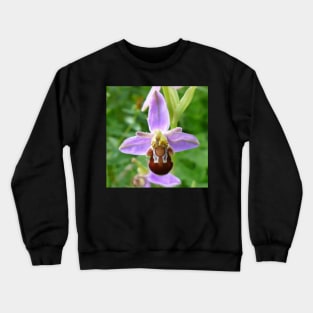 Bee Orchid Crewneck Sweatshirt